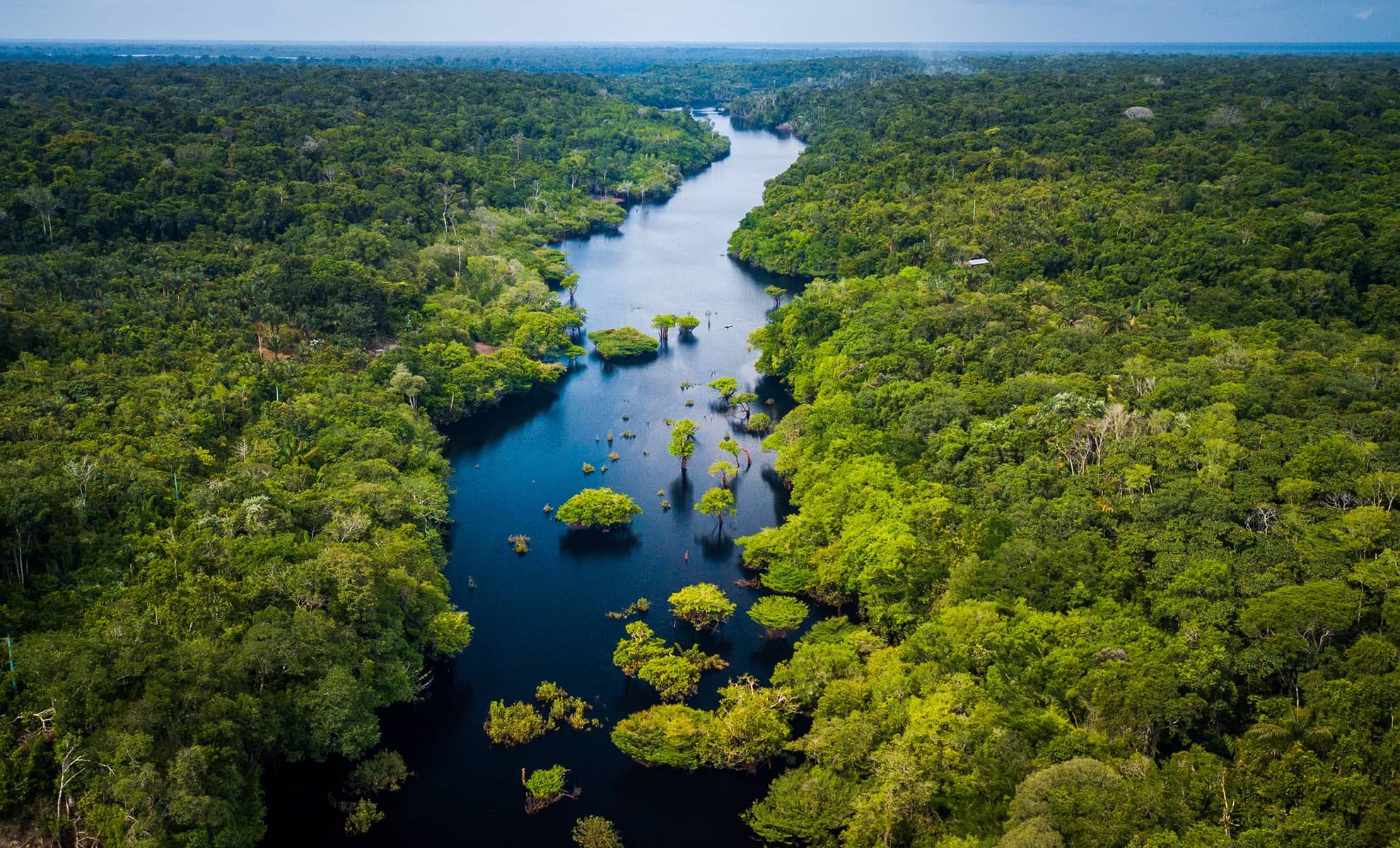 Amazon rainforest seen from above reveals the beauty of its rivers, trees and animals. Pará, Brazil